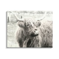 Ступел индустрии Рустик Ферма Хайланд едър рогат добитък монохромна фотография фото галерия увити платно печат стена изкуство,