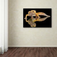 Марка изобразително изкуство 'леопардов гекон' платно изкуство от Дики Ойзин