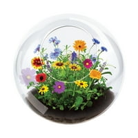 Уникален Градинарски Стъклен Терариум - Цъфтеж На Диви Цветя