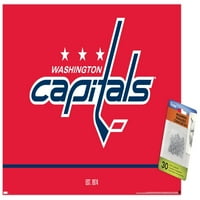 Вашингтонски столици - плакат за стена с лого с pushpins, 14.725 22.375