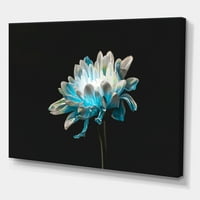 Дизайнарт 'близък план на бяло и чисто синьо цвете от маргаритка' традиционен Принт за стена от платно