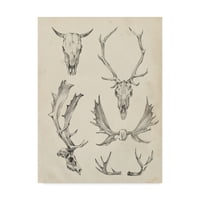 Изобразително изкуство върху череп и рога от Итън Харпър