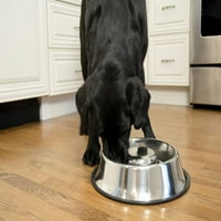 Емблематичен домашен любимец бавно хранене от неръждаема стомана за домашни любимци за куче или котка, малък, унция