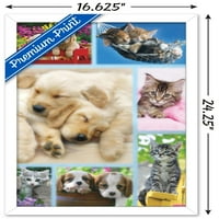 Кийт Кимбърлин - Плакат за стена на кученца и котета, 14.725 22.375