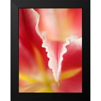 Nourock, Jonathan Black Modern Framed Museum Art Print, озаглавен - Macro Tulip II