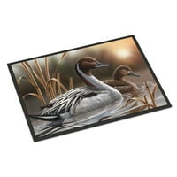 Carolines Treasures PTW2060MAT PINTAILS Вратата, постелка на вратата, вътрешен килим или на открито посрещна дормат 27 l 18 W