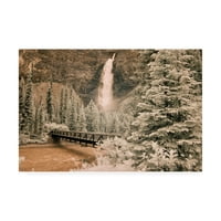 Изобразително изкуство: водопади Такакау и мост Канадски скалисти планини Канадска инфрачервена картина от Монте Нейглер