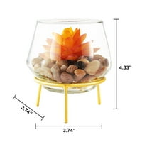 Дизайнерска група изкуствени сукуленти в стъклени вази със златни Стойки, комплект от 3 броя