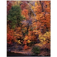 Търговска марка обичам есента платно изкуство от Курт Шафър, 18х24